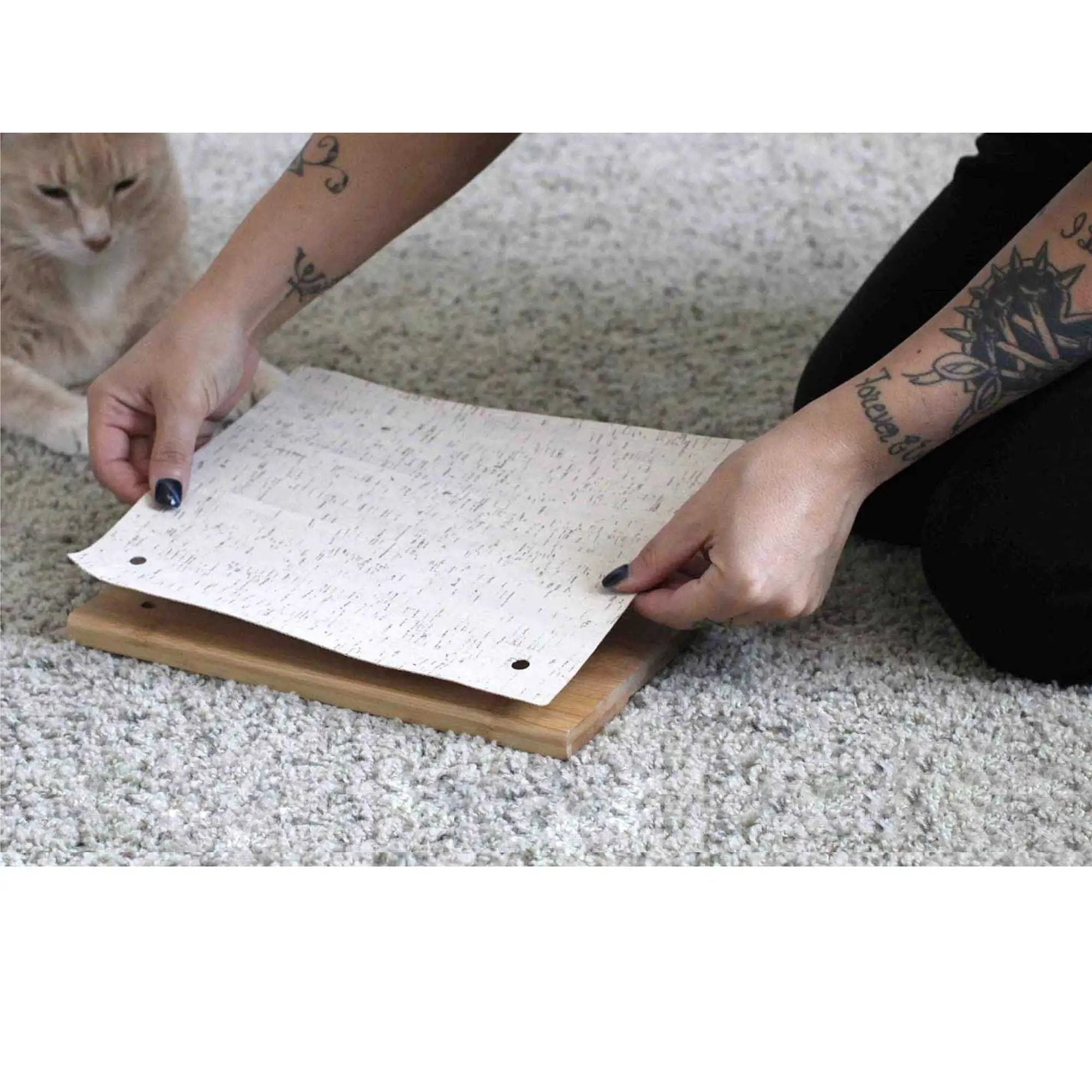 Cat Climbing Shelf in natural wood plywood with a wooden base