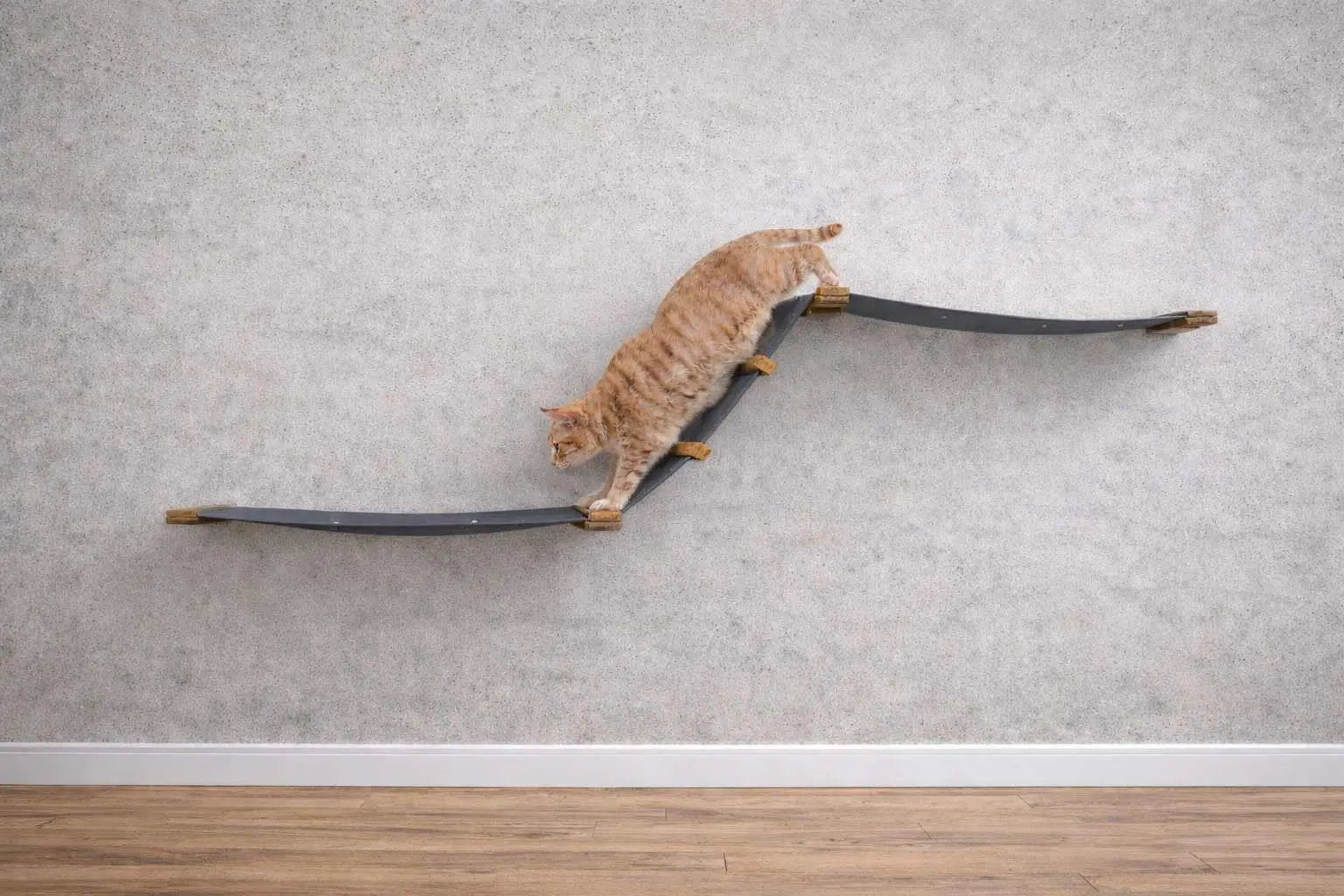 The Raceway wall-mounted cat hammock by Catastrophic Creations; gray curved ramps with wooden supports, orange tabby cat on them.