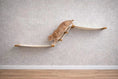 Carica l'immagine nel visualizzatore della galleria, The Raceway wall-mounted cat hammock; curved wooden ramps with beige fabric, orange tabby cat on the incline.
