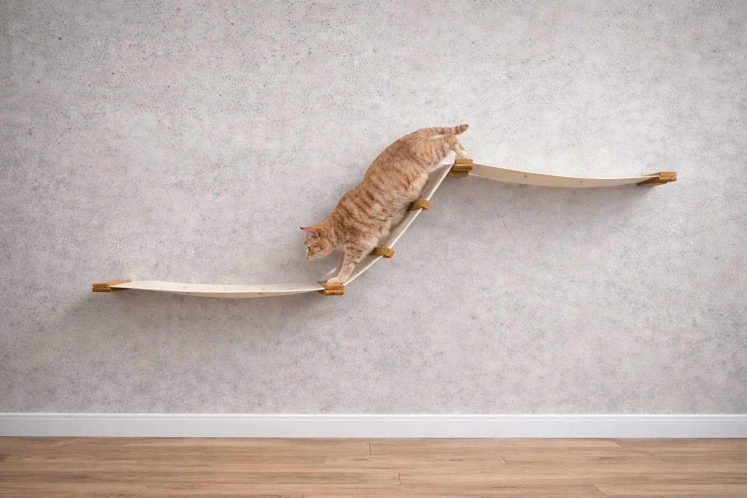 The Raceway wall-mounted cat hammock; curved wooden ramps with beige fabric, orange tabby cat on the incline.