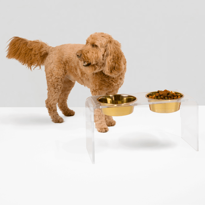 Hiddin Clear Acrylic Double Feeder with Gold Bowls – 12 in High