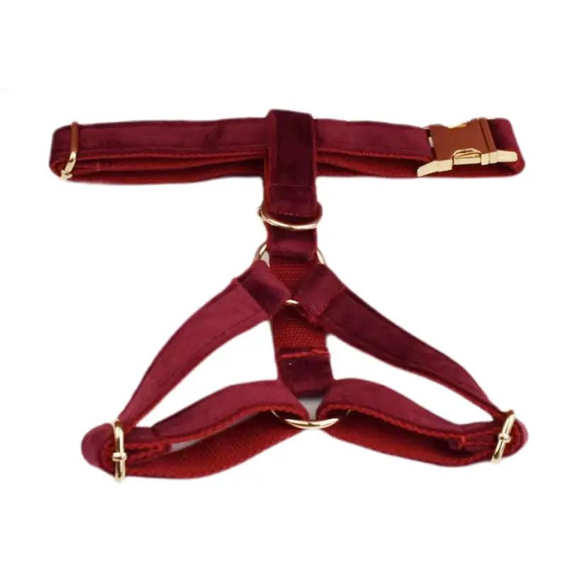 Red Wine Velvet Dog Harness Collar Leash Set Elegant Walking Wear by DDPaws