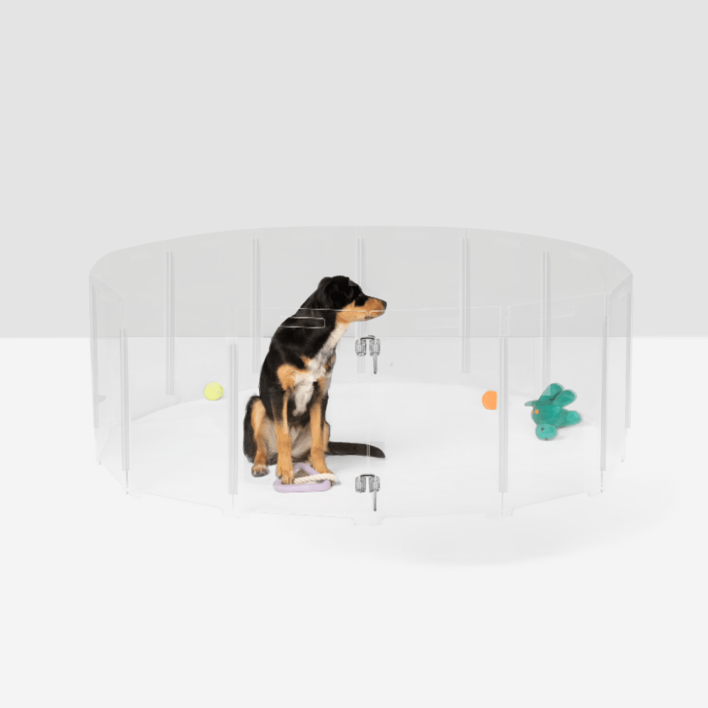 Hiddin Clear Acrylic Round Pet Playpen with Door