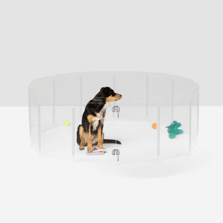 Hiddin Clear Acrylic Round Pet Playpen with Door