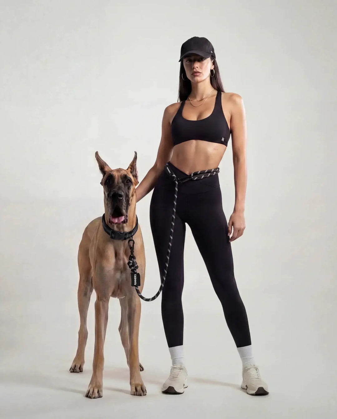 Rove Blackout Elite Running Leash For Active Dogs Hands-Free Black by Runner&