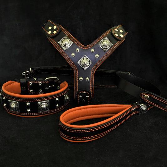 "EROS" BIG dog SET- Harness - collar - lead. Black & Orange - Pet Collars & Harnesses from Bestia Dog Gear