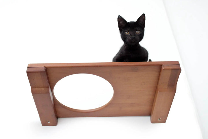Wall Mounted Cat Shelf by Catastrophic Creations; wooden brown finish with a black kitten perched.