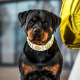 Load image into Gallery viewer, The "Maximus" collar 2.5 inch wide white & gold - Pet Collars & Harnesses from Bestia Dog Gear
