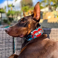 Load image into Gallery viewer, The Mickey Limited SET - Pet Collars & Harnesses from Bestia Dog Gear
