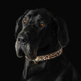 Charger l'image dans la visionneuse de la galerie, LEOPARD Limited Designer Dog Collar Handmade Exclusive In Europe by Bestia Dog Gear
