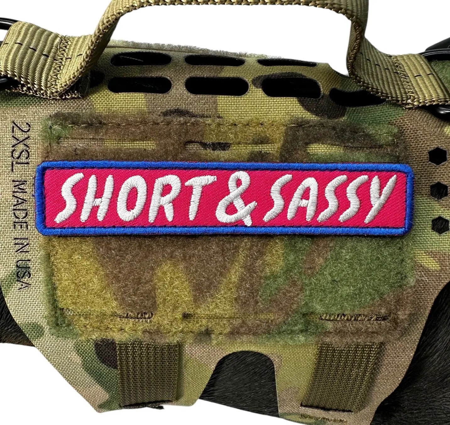 Short And Sassy Embroidered Morale Patch With Hook Fastener Backing by kiloninerpets