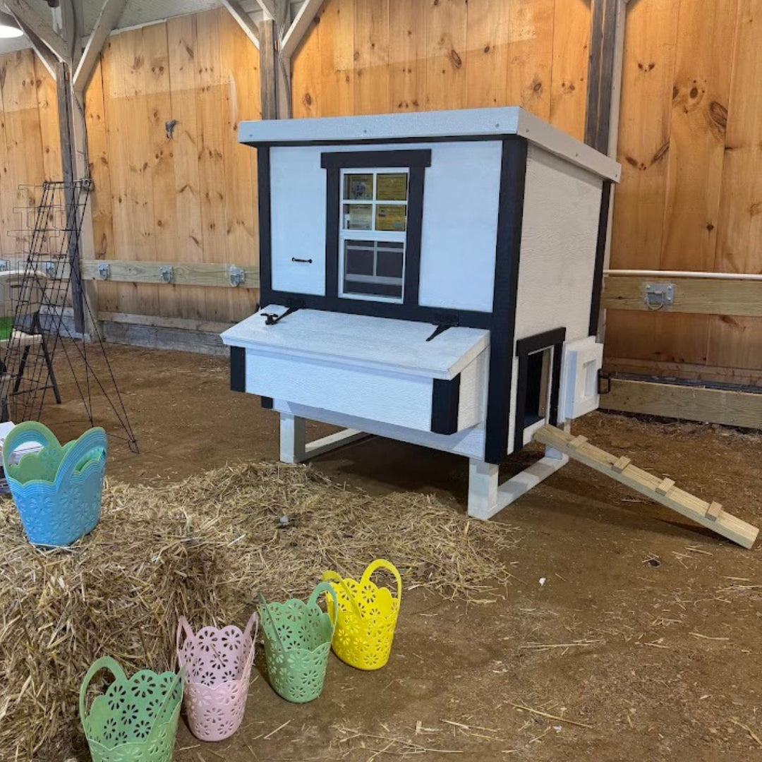 Medium Chicken Coop - Up to 10 Chickens