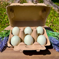 Load image into Gallery viewer, Duck egg carton with 12 pale blue eggs in a brown cardboard carton
