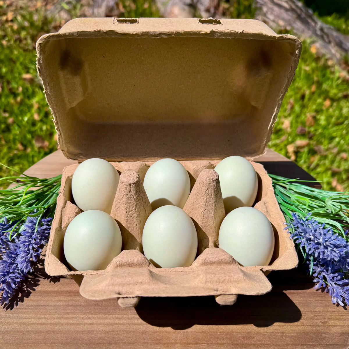 Duck egg carton with 12 pale blue eggs in a brown cardboard carton