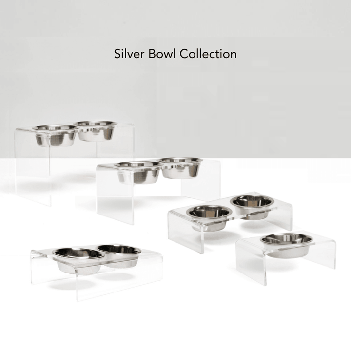 Hiddin Clear Acrylic Single Feeder with Silver Bowl – 5 in High