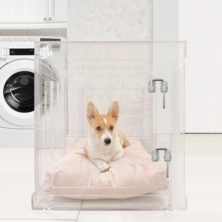 Hiddin Clear Acrylic Dog Crate – Small, Silver Latch