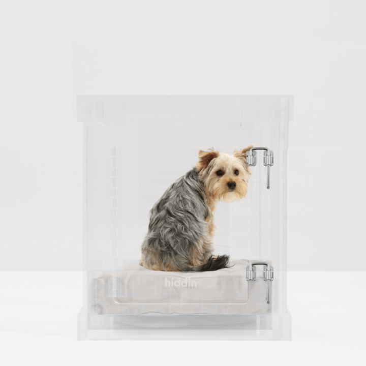 Hiddin Clear Acrylic Dog Crate – Small, Silver Latch