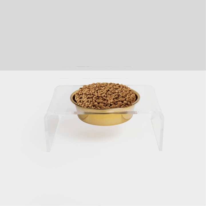 Hiddin Clear Acrylic Single Feeder with Gold Bowl – 5 in High