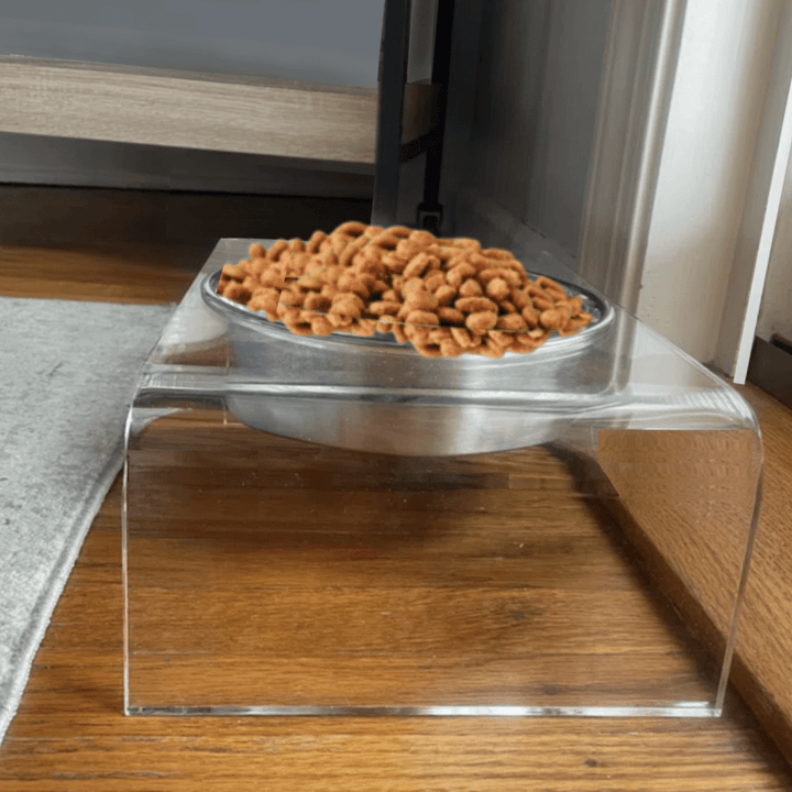 Hiddin Clear Acrylic Single Feeder with Silver Bowl – 5 in High