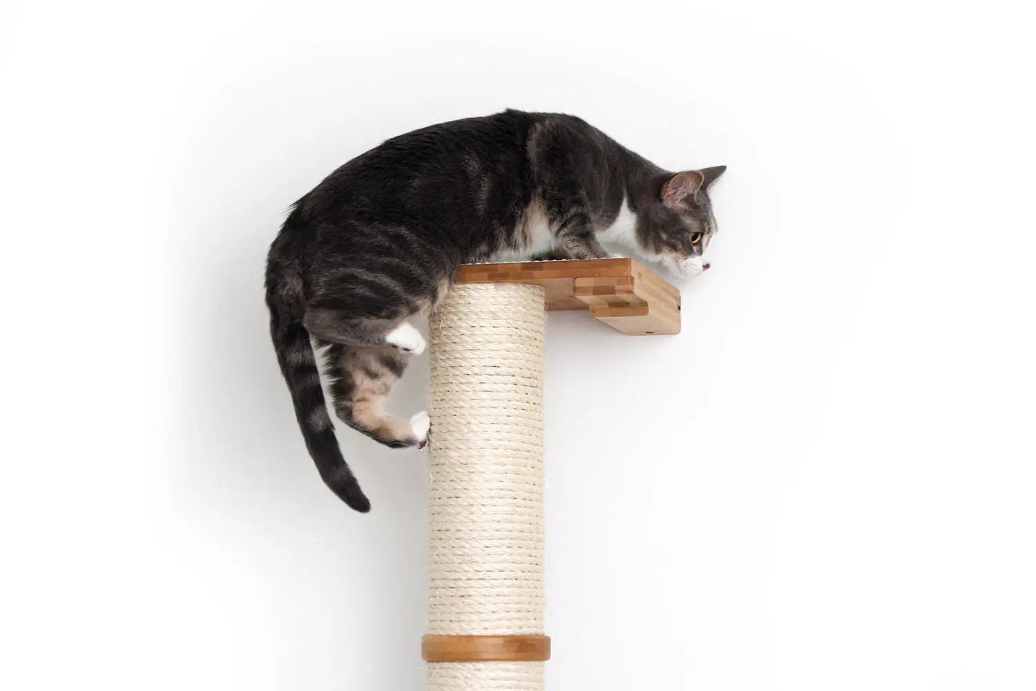 Wall Mounted Cat Climbing Pole Sisal cat scratcher with rope-wrapped post