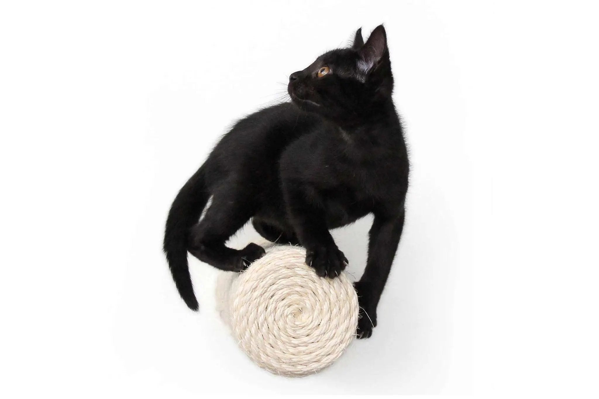 Floating Cat Step for Wall cat scratcher by Catastrophic Creations; black cat on a beige rope-wrapped ball