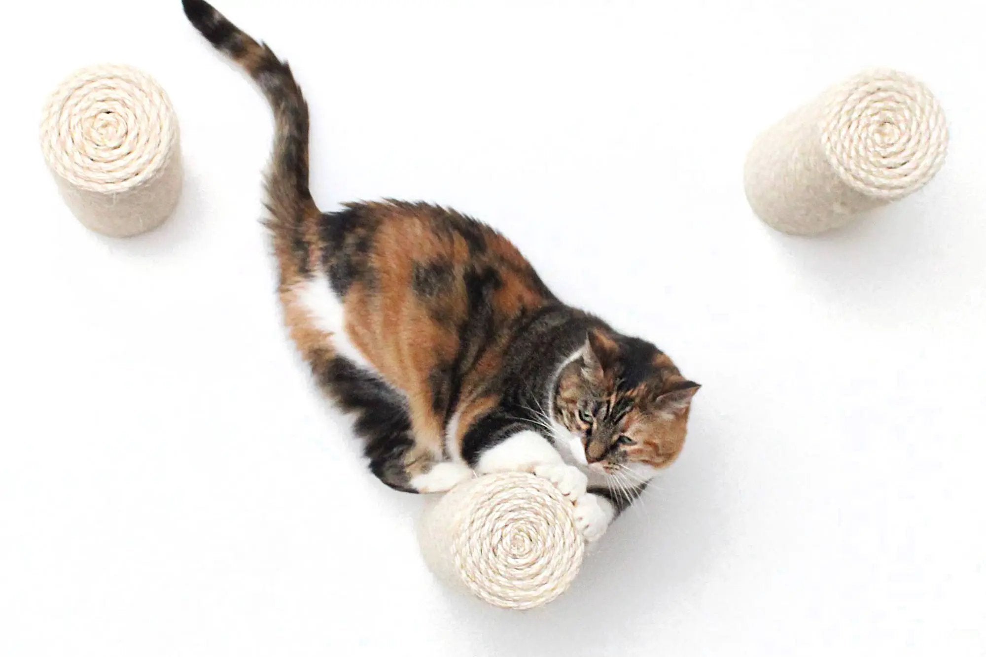 Floating Cat Step for Wall cat scratcher with two tan sisal rope posts and a calico cat.