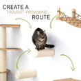 Carica l'immagine nel visualizzatore della galleria, Floating Cat Step for Wall, cat scratcher by Catastrophic Creations in natural wood with rope-wrapped surface.
