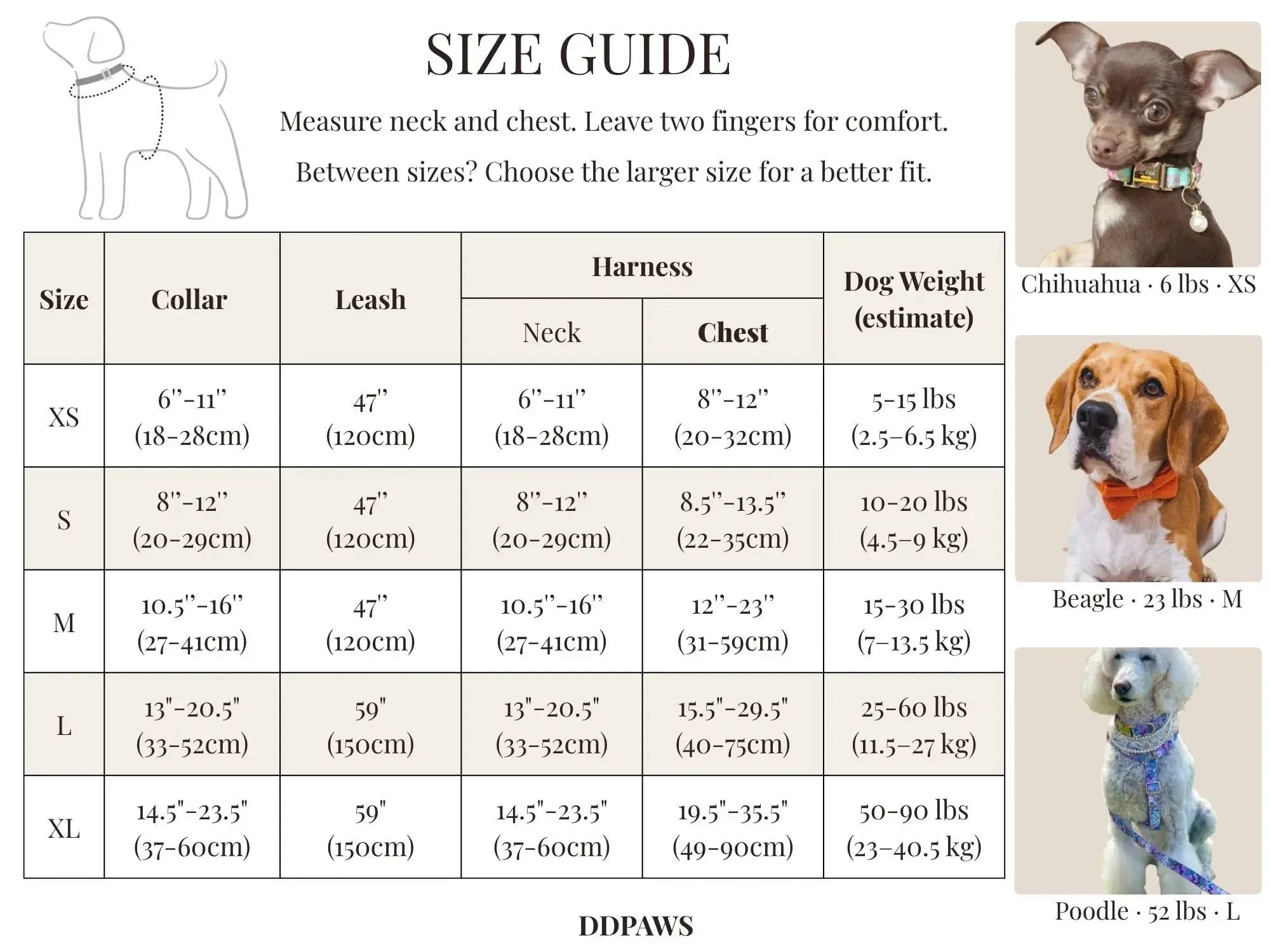 Premium Dreamy Rainbow Print Set Complete Three Piece Dog Harness Collar Leash Collection by DDPaws