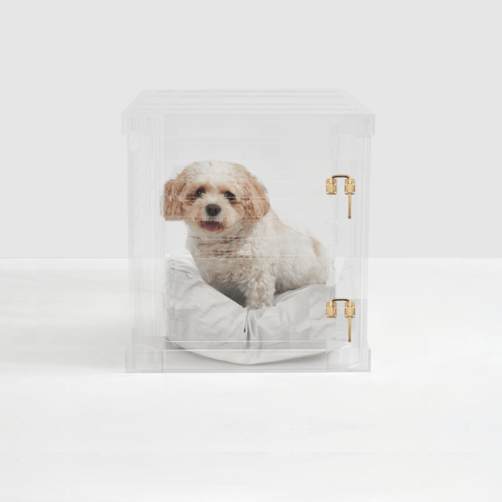 Hiddin Clear Acrylic Dog Crate – Small, Gold Latch