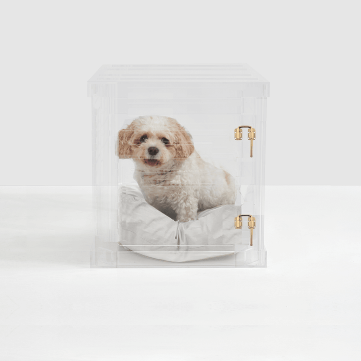 Hiddin Clear Acrylic Dog Crate – Small, Gold Latch