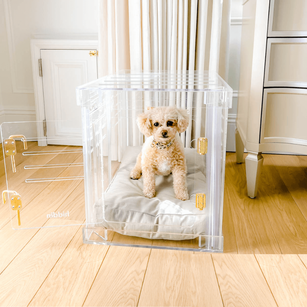 Hiddin Clear Acrylic Dog Crate – Small, Gold Latch
