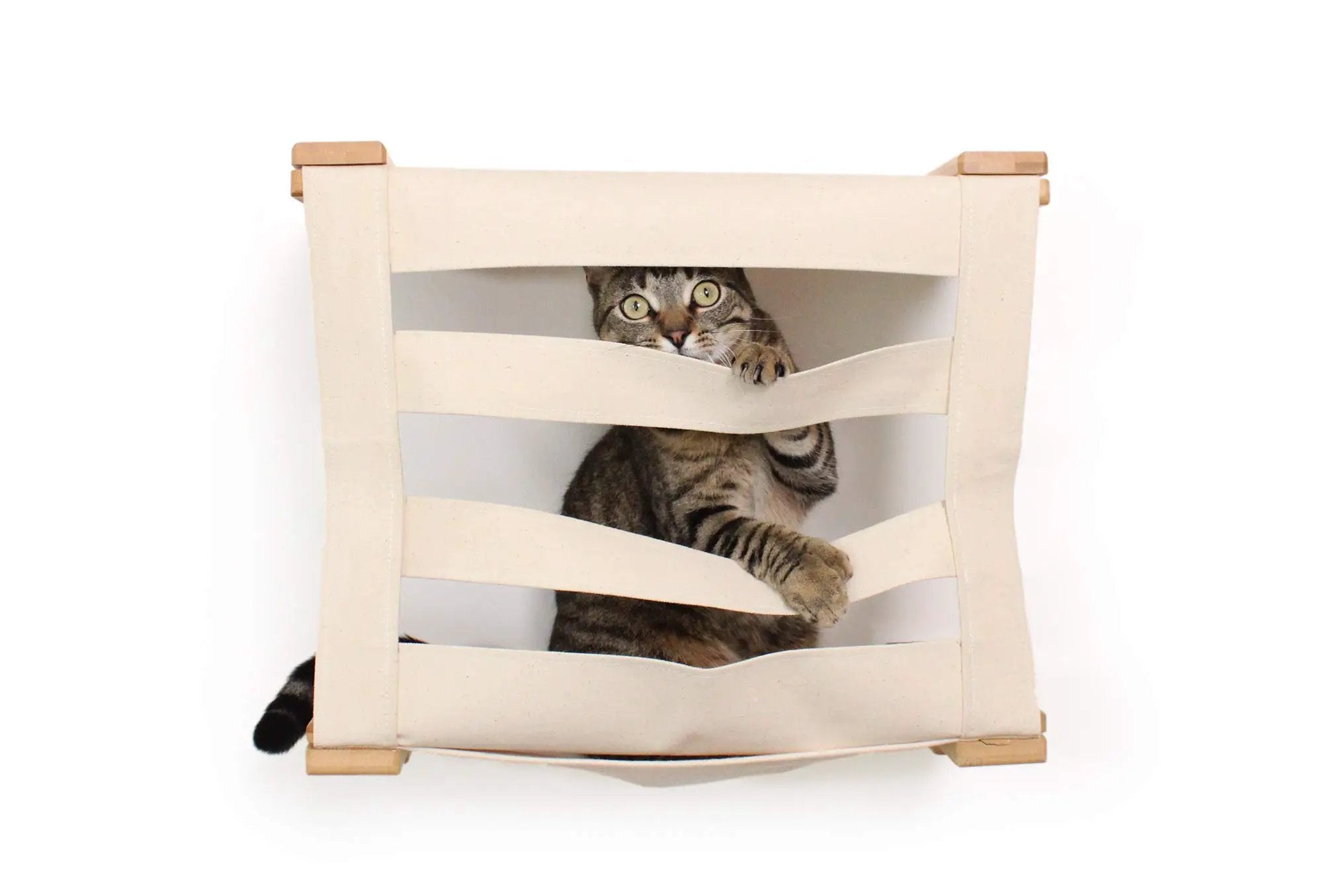 Enclosed Cat Bed Cat Wall Cubby by Catastrophic Creations, beige fabric with natural wood frame, cat peeking out