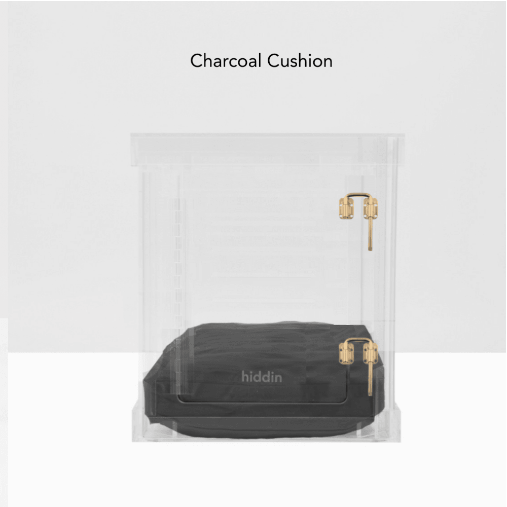 Hiddin Clear Acrylic Dog Crate – Small, Gold Latch