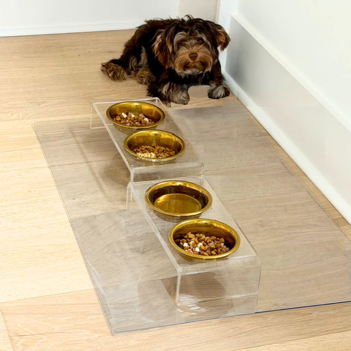 Hiddin Clear Acrylic Double Feeder with Gold Bowls – 3 in High