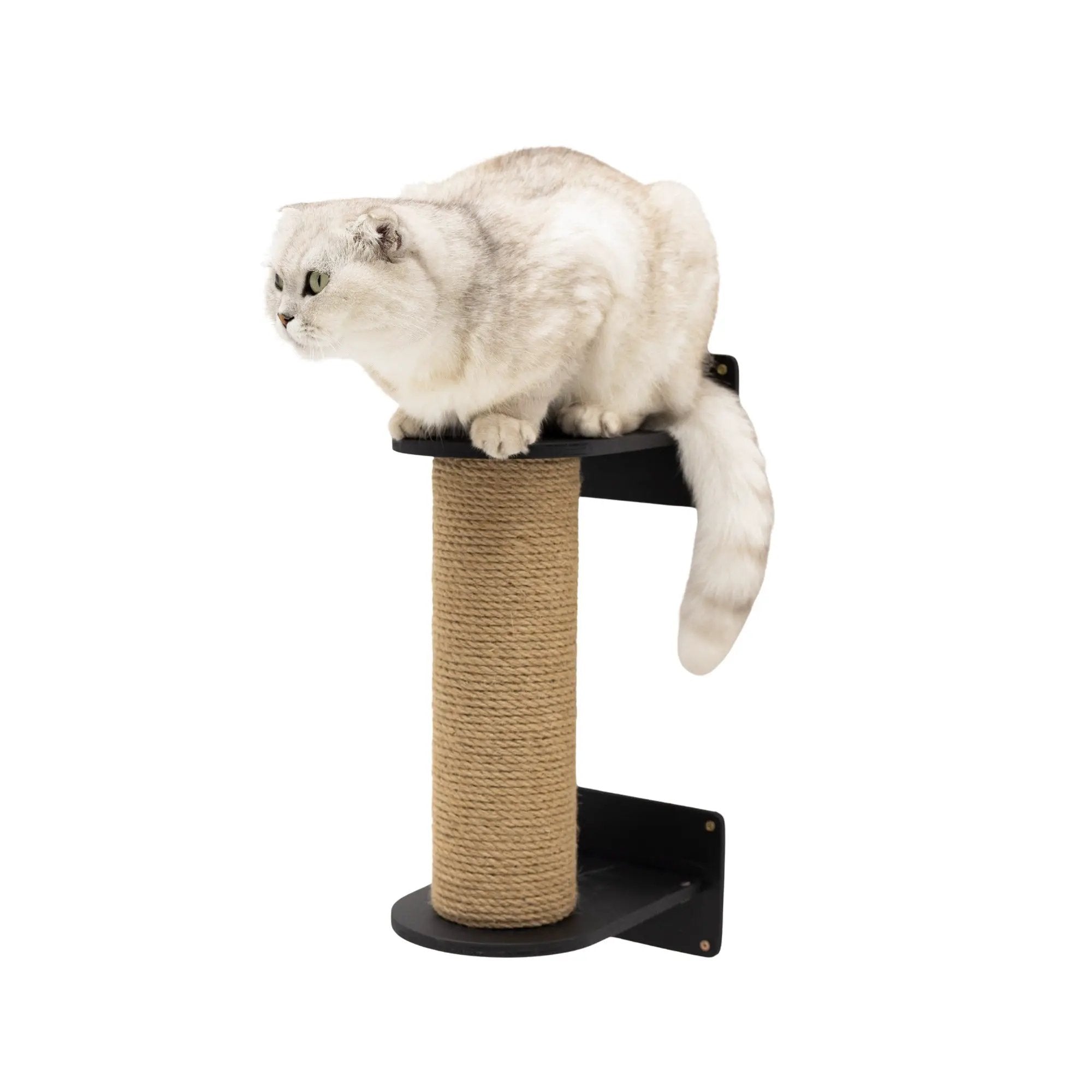 Black Cat Tree Cushioned Indoor Sisal Climbing Post by Enjoy The Wood