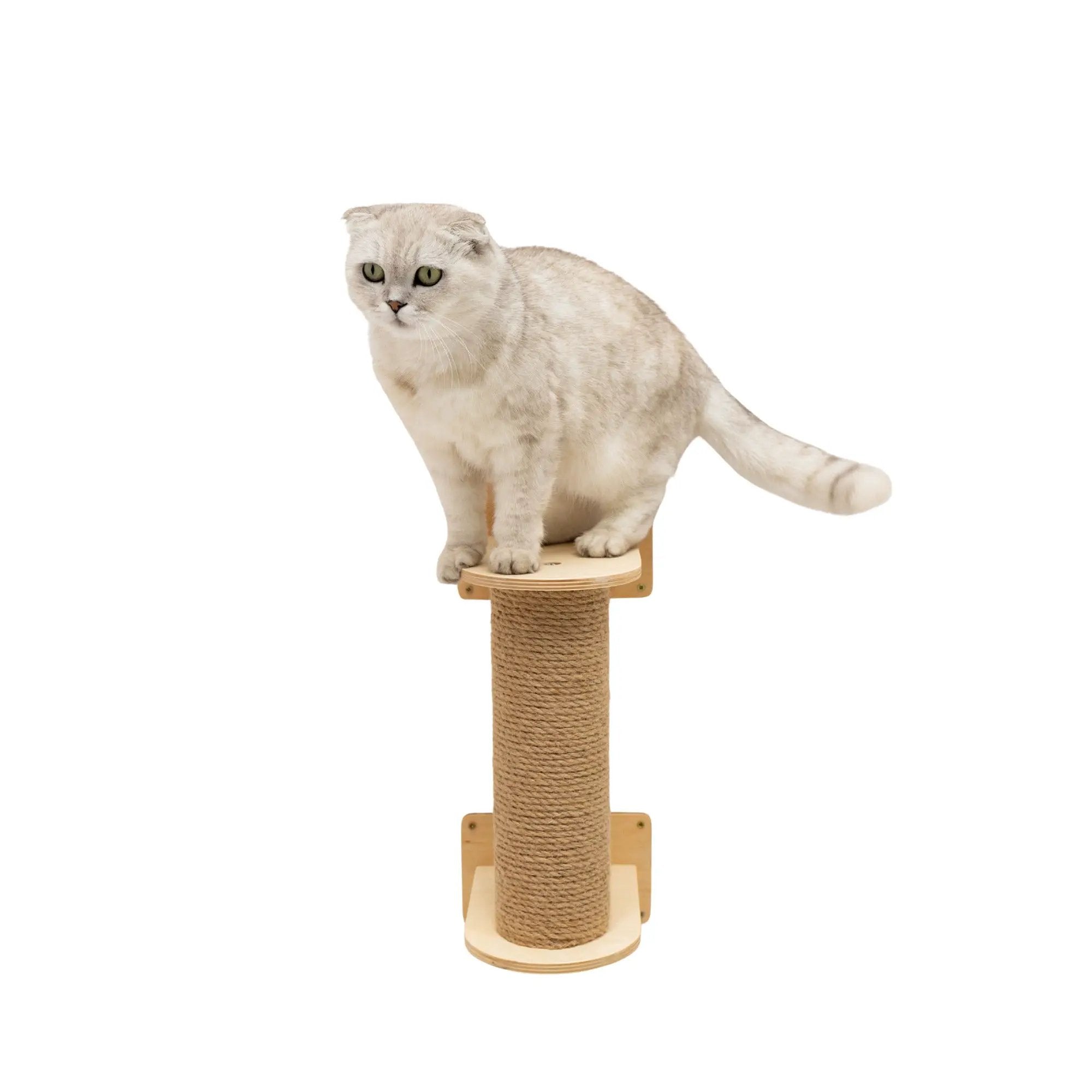 Enjoy The Wood Small Cat Tree Light Compact Safe Senior Retreat by Enjoy The Wood