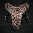 Load image into Gallery viewer, The ''Rock Python'' harness - Pet Collars & Harnesses from Bestia Dog Gear
