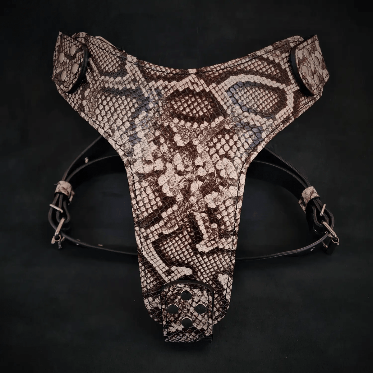 The ''Rock Python'' harness - Pet Collars & Harnesses from Bestia Dog Gear