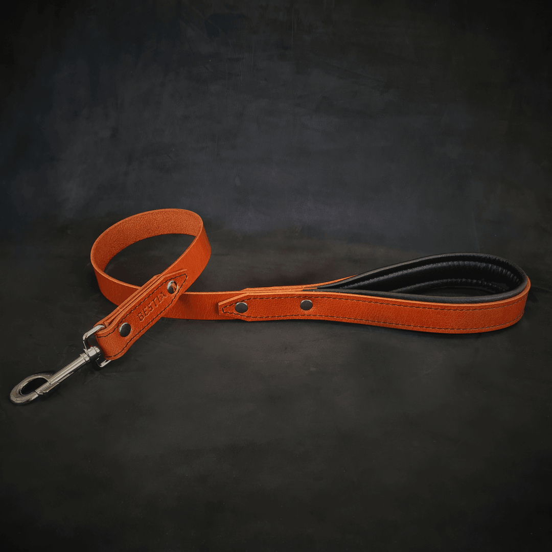 Bestia Style padded leather dog leash, view 4