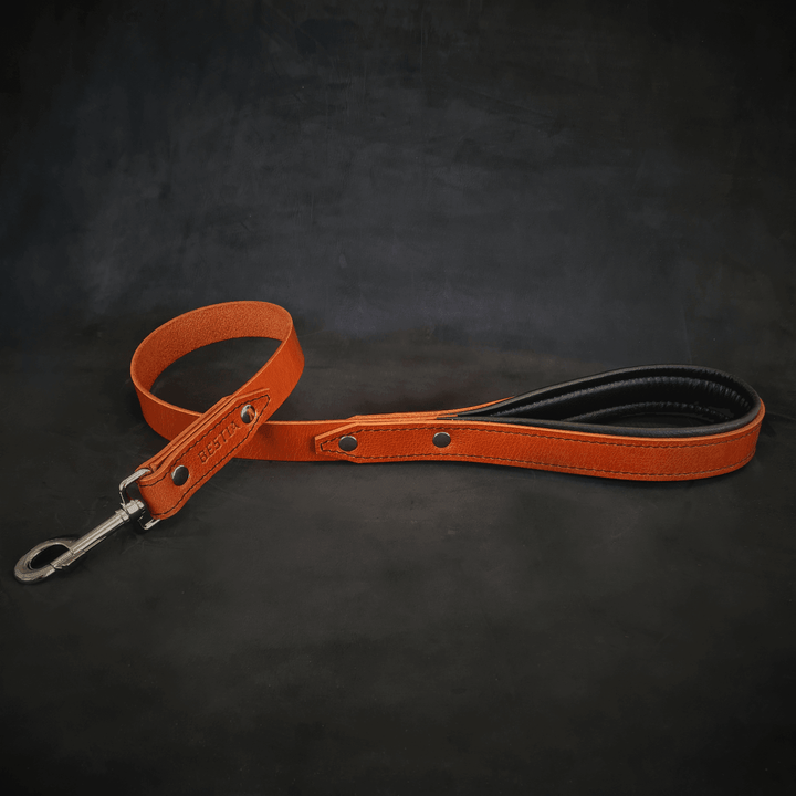 Bestia Style padded leather dog leash, view 4