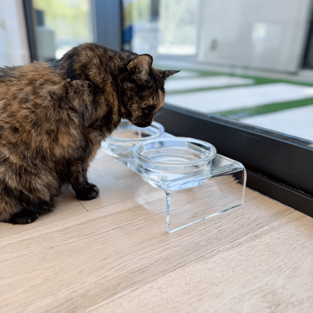 Hiddin Clear Acrylic Double Feeder with Glass Bowls – 3 in High