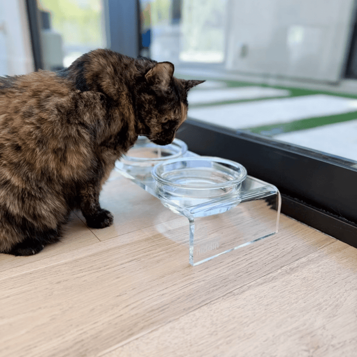 Hiddin Clear Acrylic Double Feeder with Glass Bowls – 3 in High