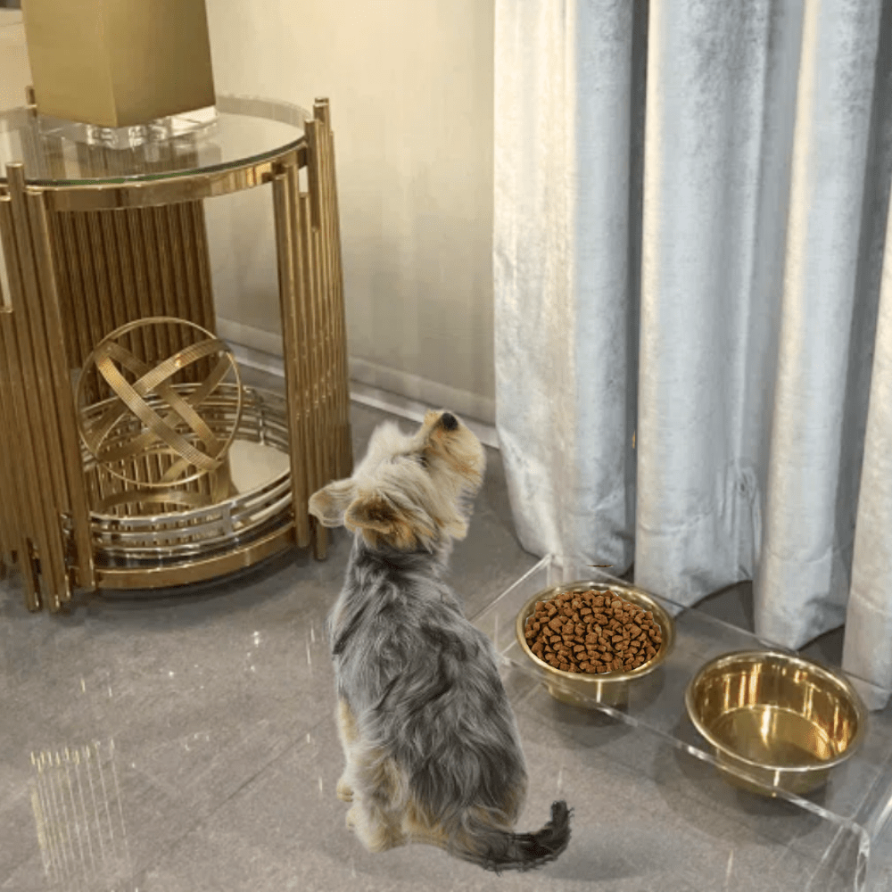 Hiddin Clear Acrylic Double Feeder with Gold Bowls – 3 in High