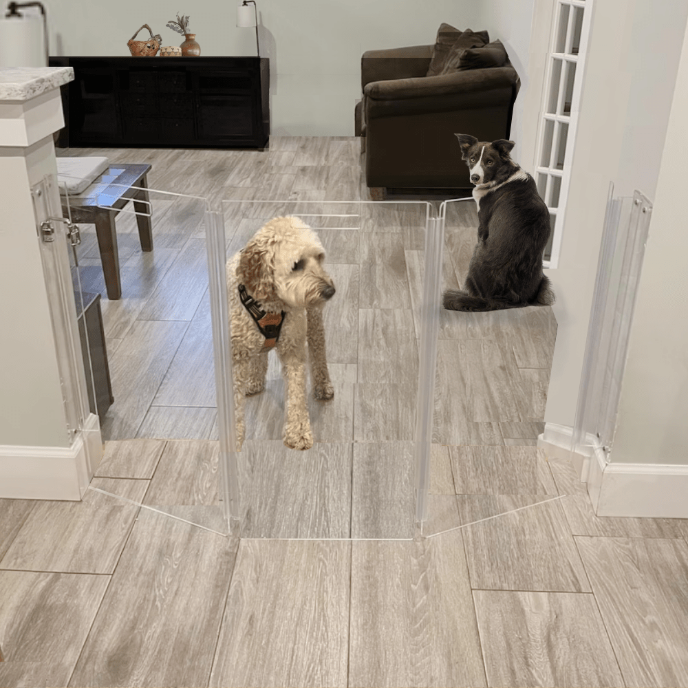Hiddin Clear Acrylic Wall-Mounted Zig Zag Pet Gate – 30 in High