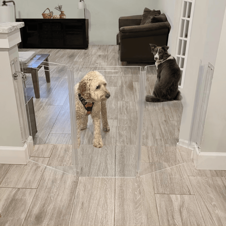 Hiddin Clear Acrylic Wall-Mounted Zig Zag Pet Gate – 30 in High