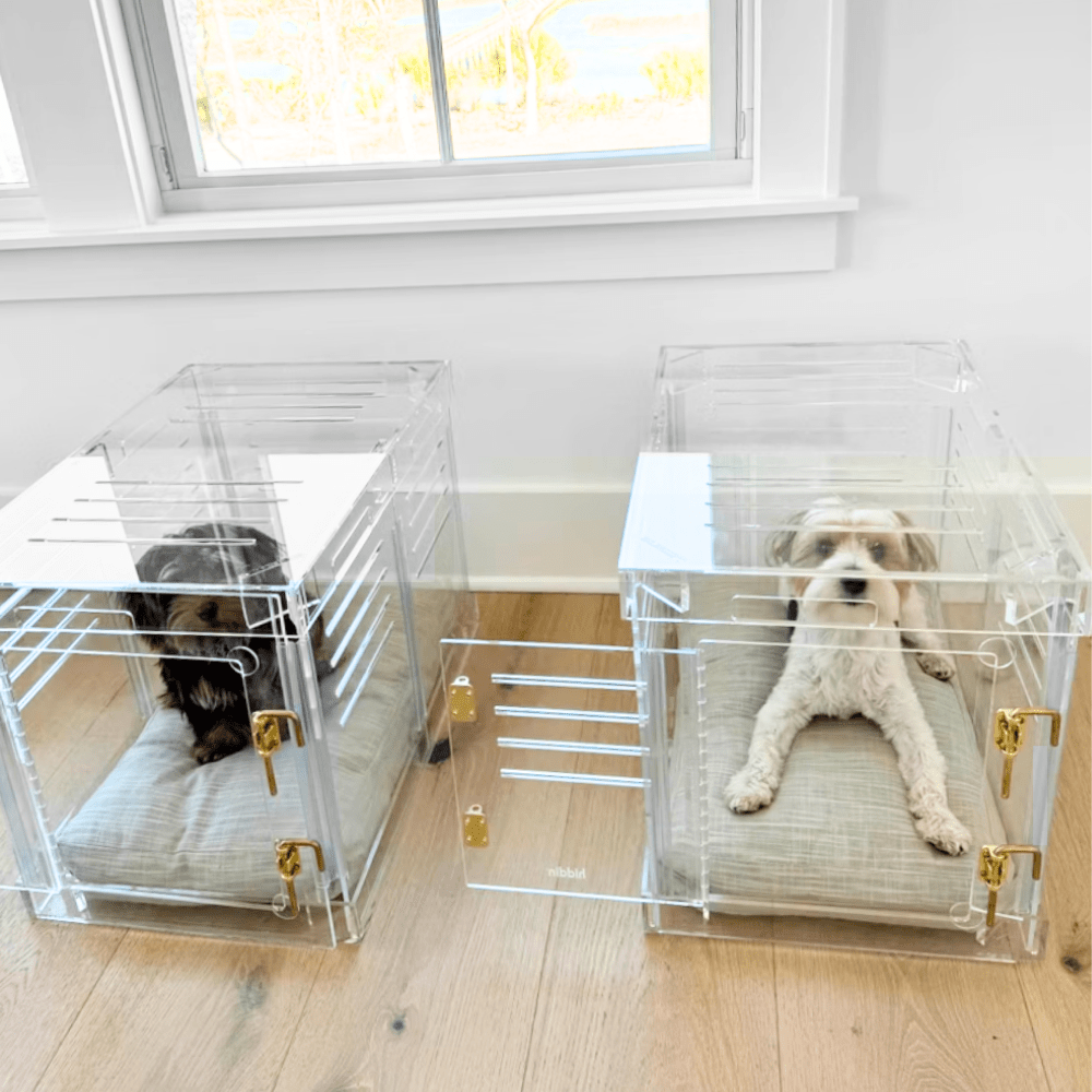 Hiddin Clear Acrylic Dog Crate – Small, Gold Latch