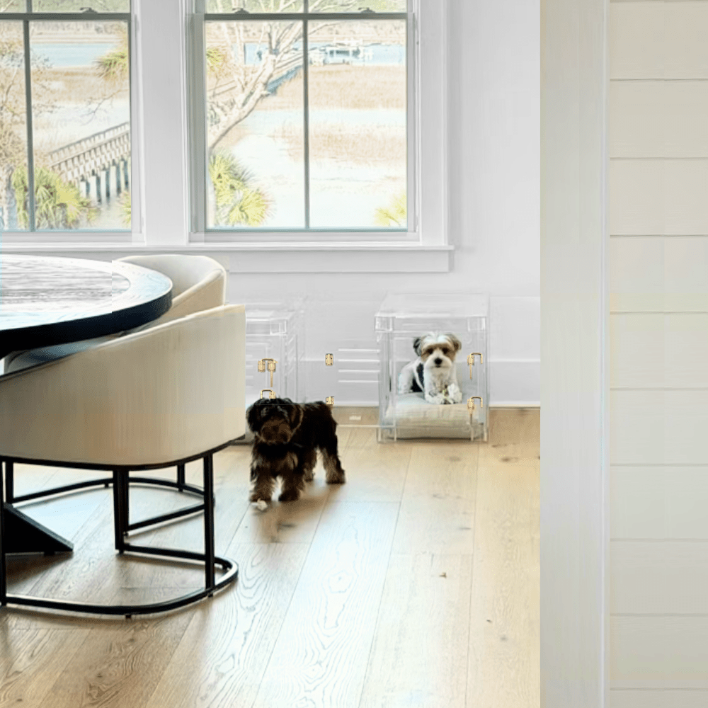 Hiddin Clear Acrylic Dog Crate – Small, Gold Latch