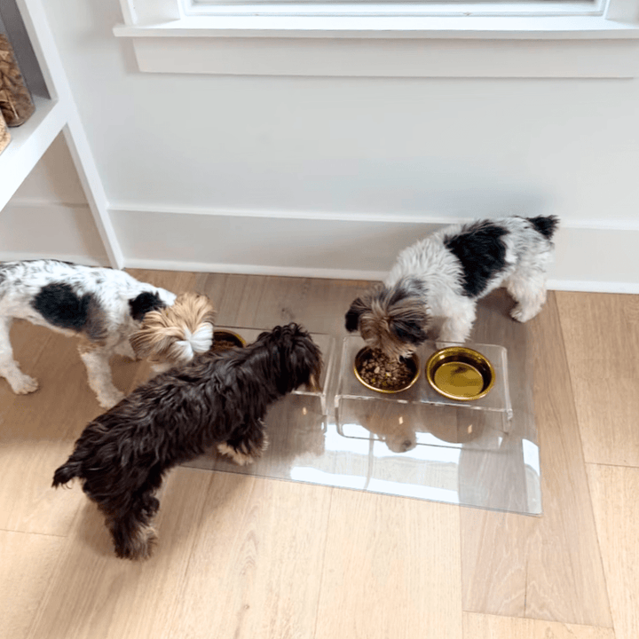 Hiddin Clear Acrylic Double Feeder with Gold Bowls – 3 in High