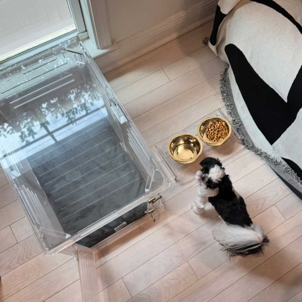Hiddin Clear Acrylic Double Feeder with Gold Bowls – 3 in High