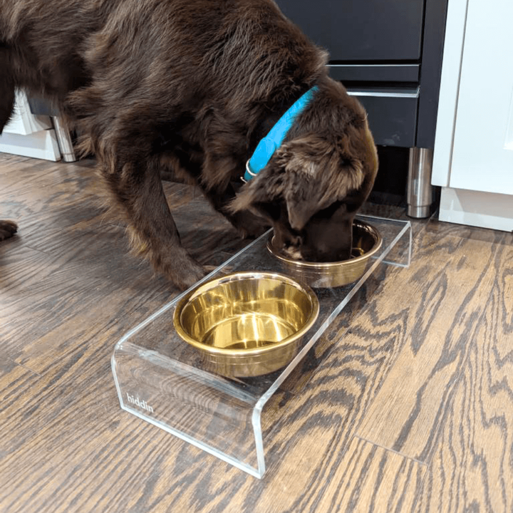 Hiddin Clear Acrylic Double Feeder with Gold Bowls – 3 in High